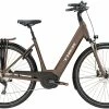 Vélo électrique Trek 2019 TM4+ Lowstep -Vélo Soldes Boutique TM4PlusLow 19 25146 B Primary mr